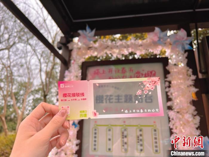 门徒平台:穿越“一路繁花” 走向春天 杭州公交上新“樱花接驳线”
