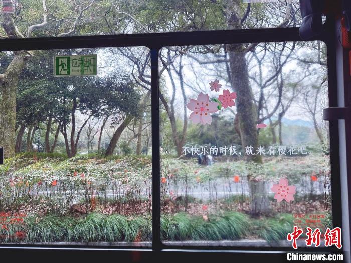 门徒平台:穿越“一路繁花” 走向春天 杭州公交上新“樱花接驳线”