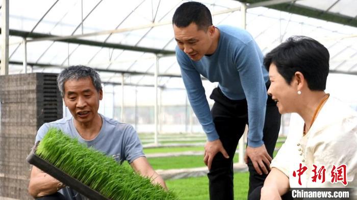 门徒平台:湖南新田科技特派员为经济高质量发展“传经送宝”